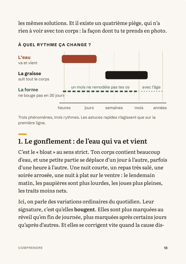 Page du livre : Eau, graisse, forme : à quel rythme ça change